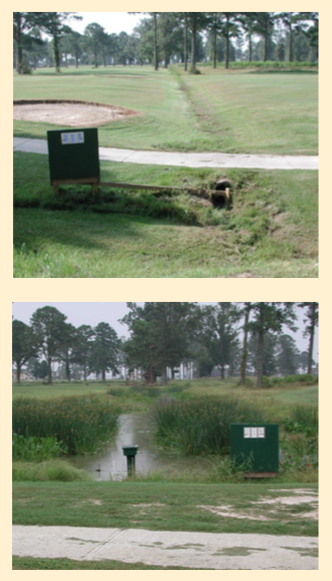 Figure 4. Old drainageway became wetland and water hazard